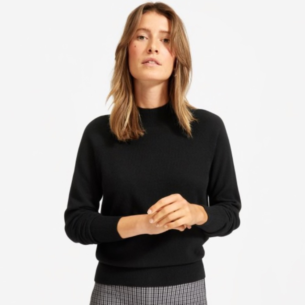Everlane cashmere mockneck sweater